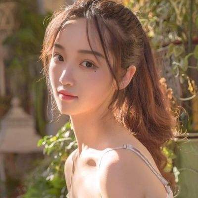 王与八人伙伴破解版下载